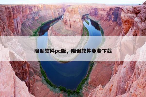 降调软件pc版，降调软件免费下载