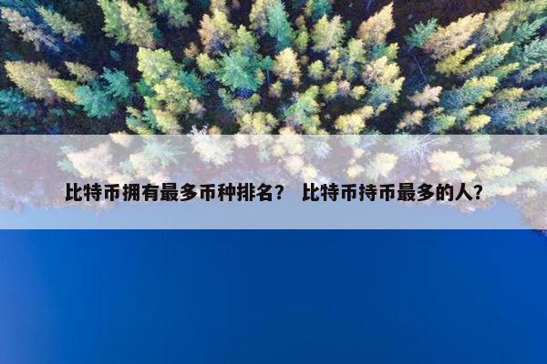 比特币拥有最多币种排名？ 比特币持币最多的人？