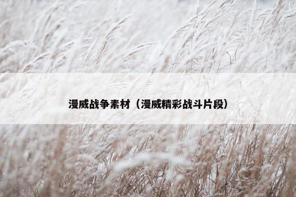 漫威战争素材（漫威精彩战斗片段）