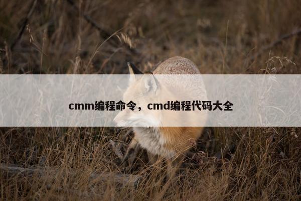 cmm编程命令，cmd编程代码大全