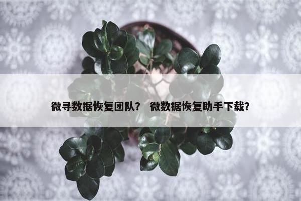 微寻数据恢复团队？ 微数据恢复助手下载？