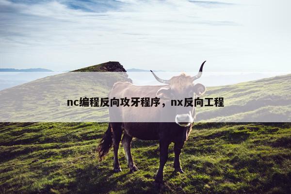 nc编程反向攻牙程序，nx反向工程