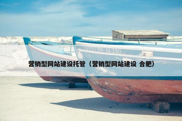 营销型网站建设托管（营销型网站建设 合肥）