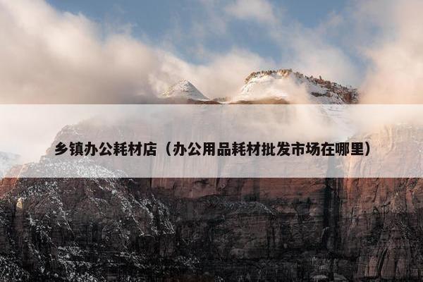 乡镇办公耗材店（办公用品耗材批发市场在哪里）