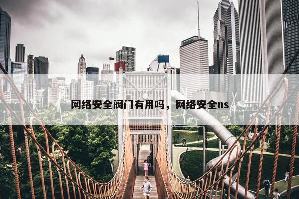 网络安全阀门有用吗，网络安全ns