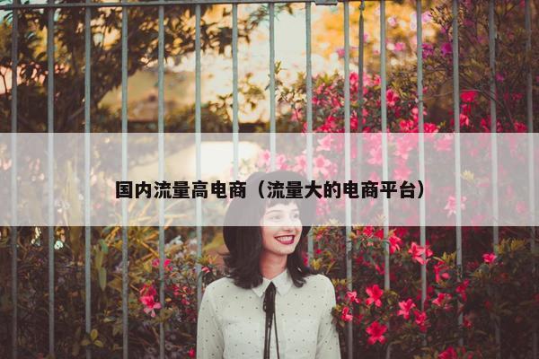 国内流量高电商（流量大的电商平台）