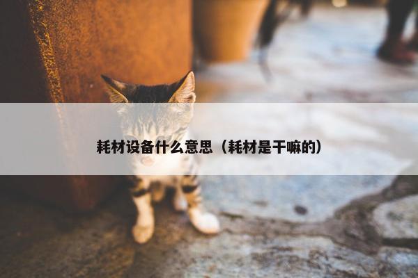 耗材设备什么意思（耗材是干嘛的）