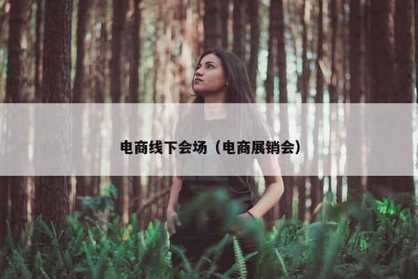电商线下会场（电商展销会）