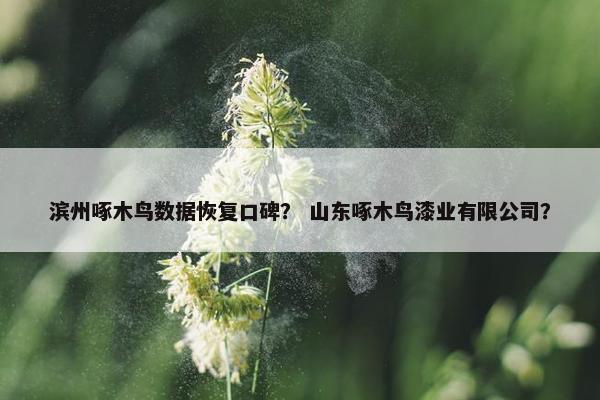 滨州啄木鸟数据恢复口碑？ 山东啄木鸟漆业有限公司？