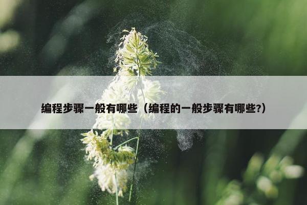 编程步骤一般有哪些（编程的一般步骤有哪些?）