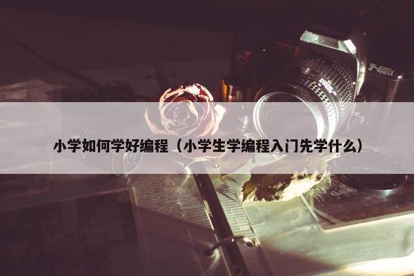 小学如何学好编程（小学生学编程入门先学什么）