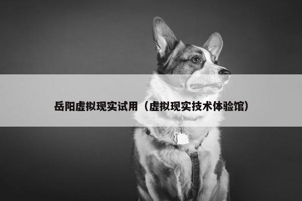 岳阳虚拟现实试用（虚拟现实技术体验馆）
