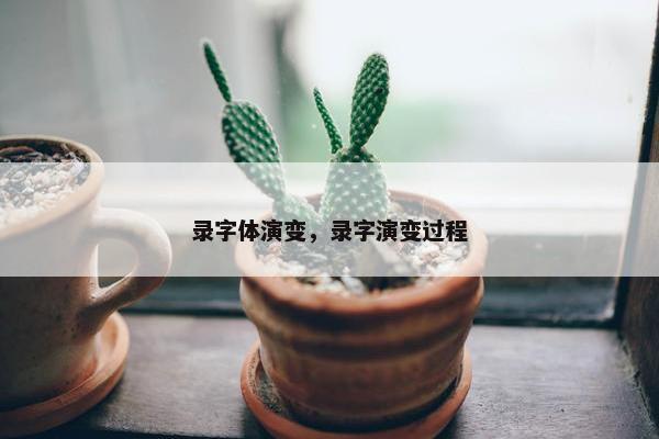 录字体演变，录字演变过程