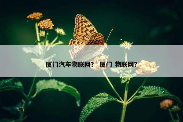 厦门汽车物联网？ 厦门 物联网？
