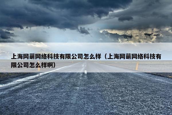 上海网萌网络科技有限公司怎么样（上海网萌网络科技有限公司怎么样啊）