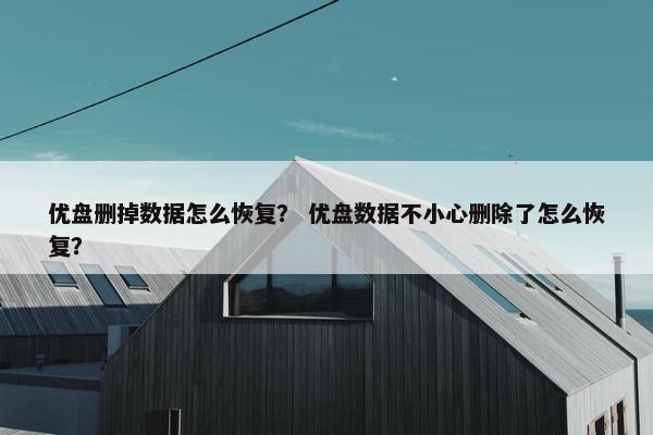 优盘删掉数据怎么恢复？ 优盘数据不小心删除了怎么恢复？