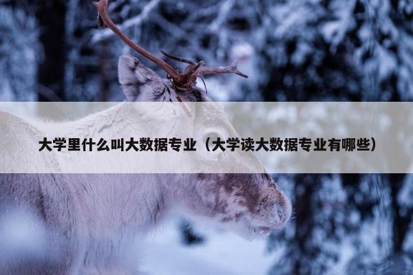 大学里什么叫大数据专业（大学读大数据专业有哪些）