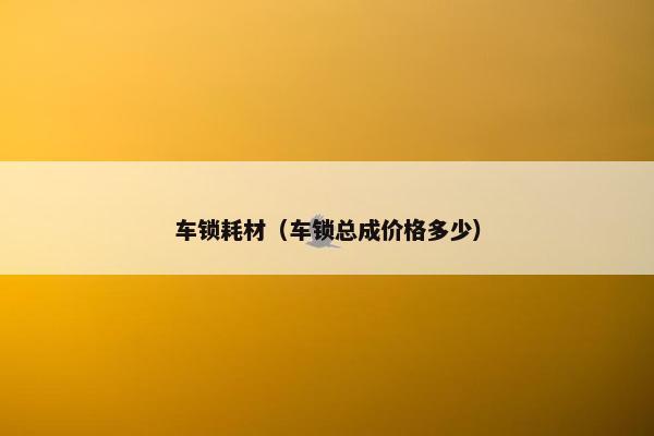 车锁耗材（车锁总成价格多少）