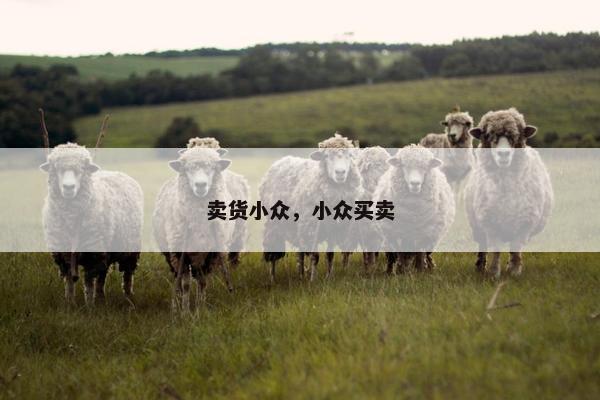 卖货小众，小众买卖
