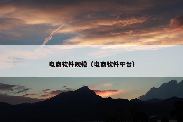 电商软件规模（电商软件平台）