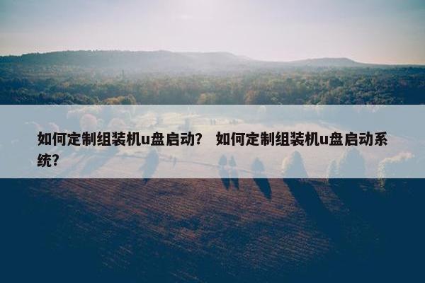 如何定制组装机u盘启动？ 如何定制组装机u盘启动系统？