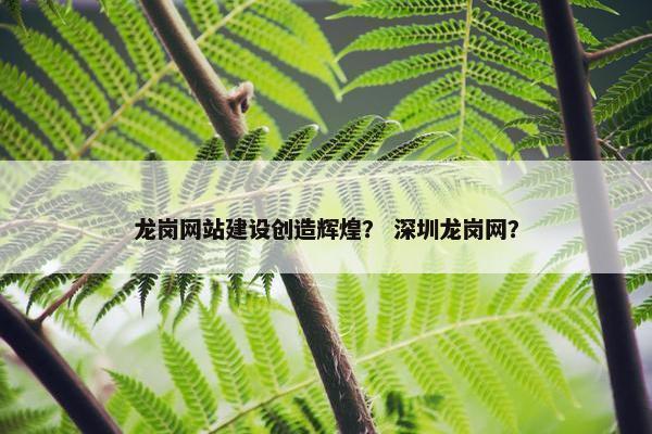 龙岗网站建设创造辉煌？ 深圳龙岗网？