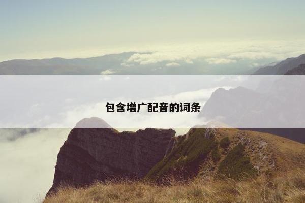 包含增广配音的词条
