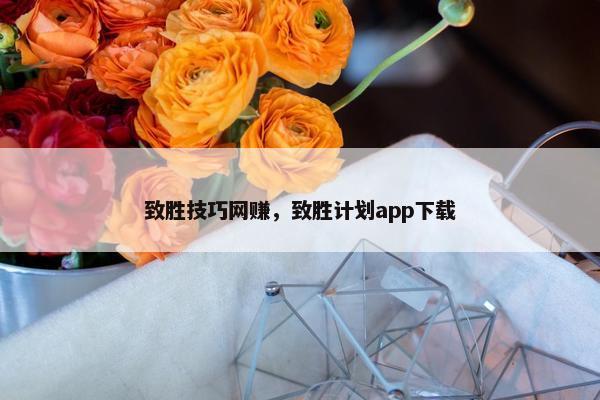 致胜技巧网赚，致胜计划app下载