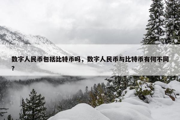 数字人民币包括比特币吗，数字人民币与比特币有何不同?