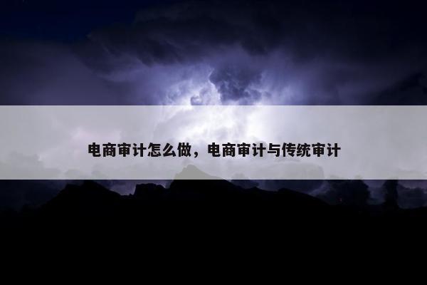 电商审计怎么做，电商审计与传统审计