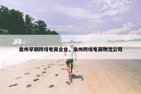 泉州早期跨境电商企业，泉州跨境电商物流公司