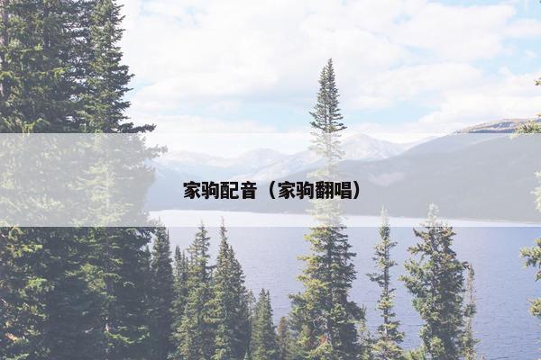 家驹配音（家驹翻唱）