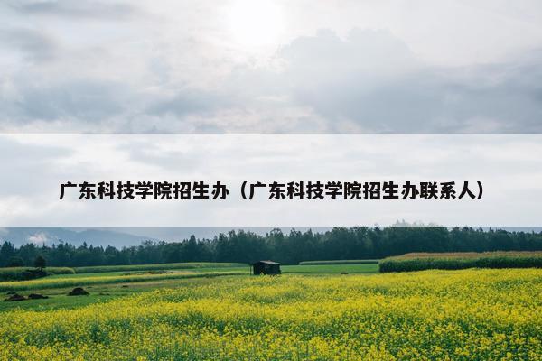 广东科技学院招生办（广东科技学院招生办联系人）