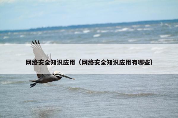 网络安全知识应用（网络安全知识应用有哪些）