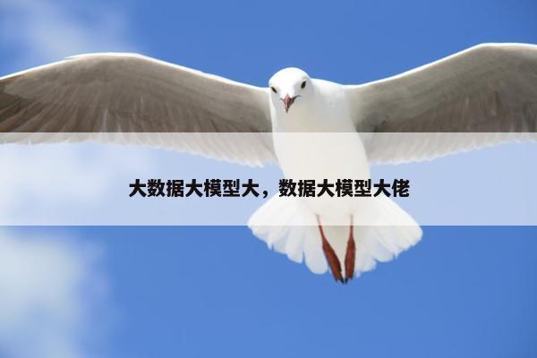 大数据大模型大，数据大模型大佬