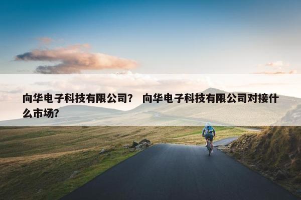 向华电子科技有限公司？ 向华电子科技有限公司对接什么市场？