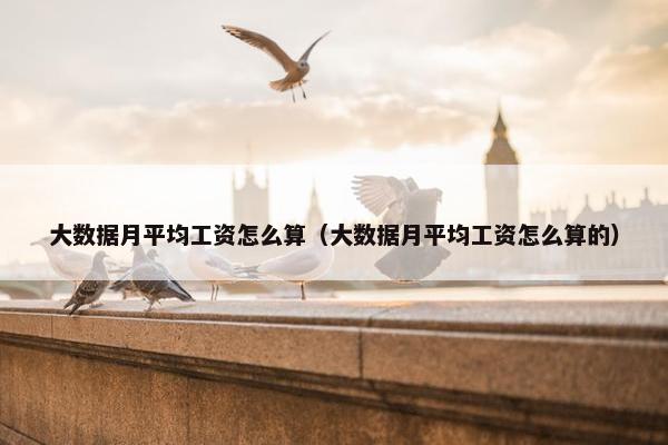 大数据月平均工资怎么算（大数据月平均工资怎么算的）