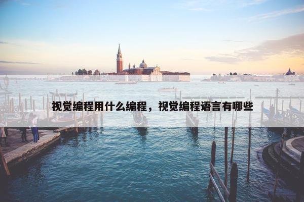 视觉编程用什么编程，视觉编程语言有哪些