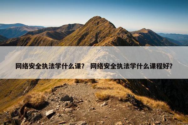 网络安全执法学什么课？ 网络安全执法学什么课程好？