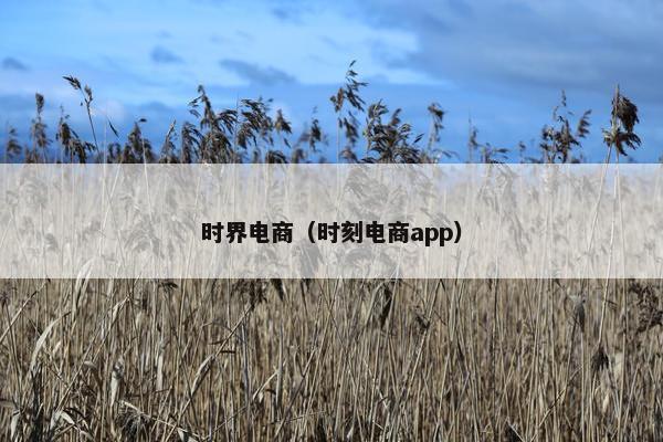 时界电商（时刻电商app）