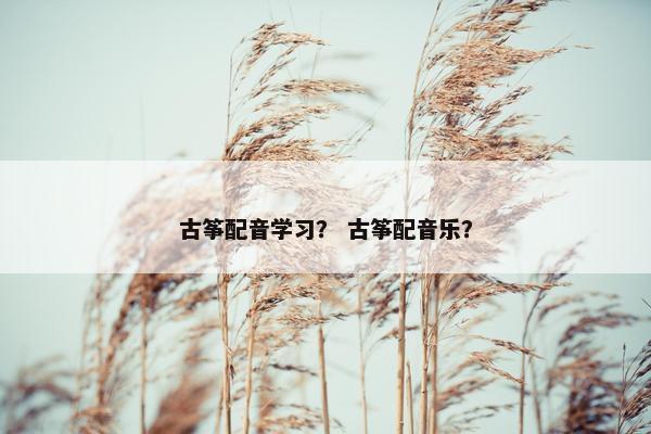 古筝配音学习？ 古筝配音乐？