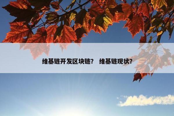维基链开发区块链？ 维基链现状？
