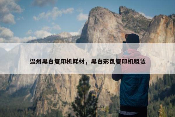 温州黑白复印机耗材，黑白彩色复印机租赁