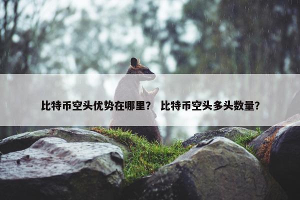 比特币空头优势在哪里？ 比特币空头多头数量？
