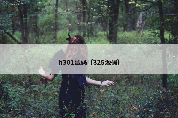 h301源码（325源码）