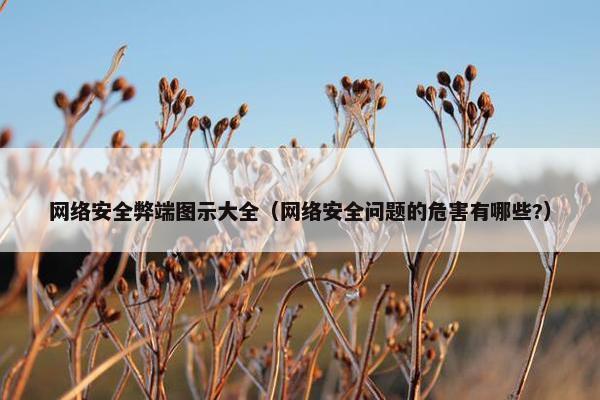 网络安全弊端图示大全（网络安全问题的危害有哪些?）
