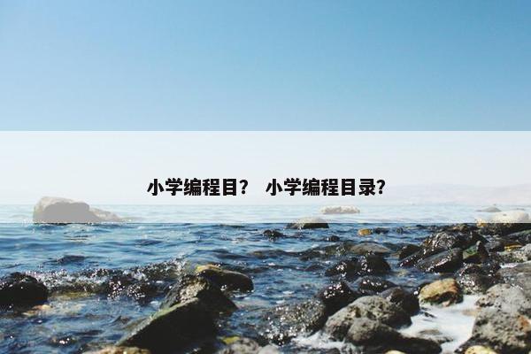 小学编程目？ 小学编程目录？