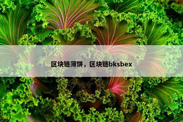 区块链薄饼，区块链bksbex