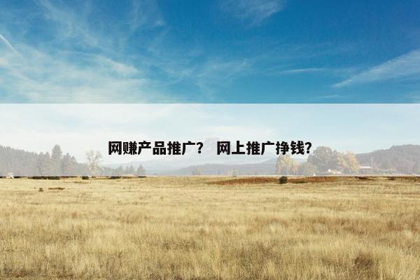 网赚产品推广？ 网上推广挣钱？