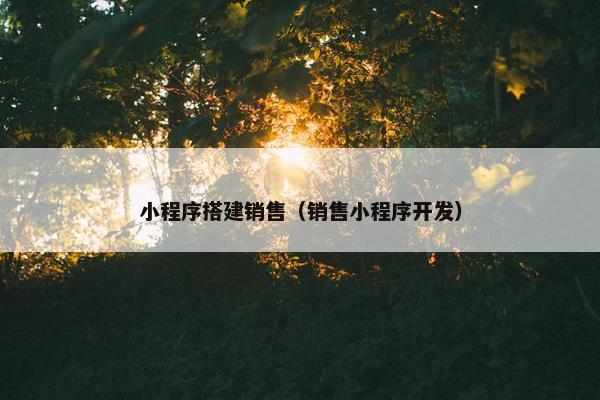 小程序搭建销售（销售小程序开发）